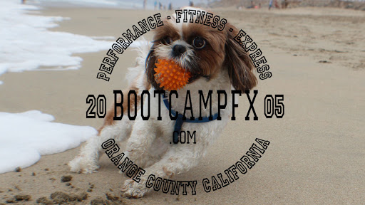 Boot Camp FX Online Workout Videos